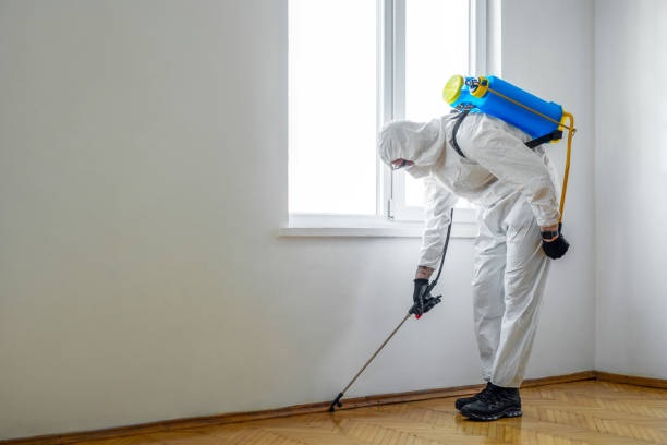 Reliable Fenton, MI Pest Control Solutions